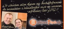 Plissee_Weihnachten_2011